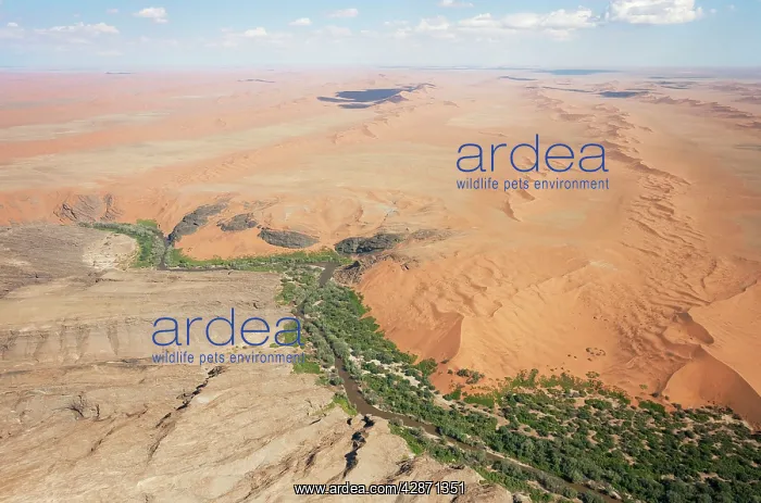: Aerial view of the flooding Kuiseb river and its : Aerial view of the flooding Kuiseb river and its