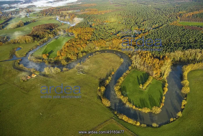 : Aerial view, fog clouds over river Lippe river meander and Lippe floodplain : Aerial view, fog clouds over river Lippe river meander and Lippe floodplain