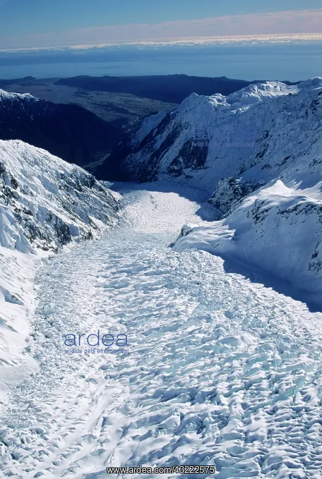  : Aerial view of Fox Glacier, Westland National