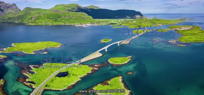 : Aerial view, Fredvang Bridge, Torsfjorden near Fredvang : Aerial view, Fredvang Bridge, Torsfjorden near Fredvang