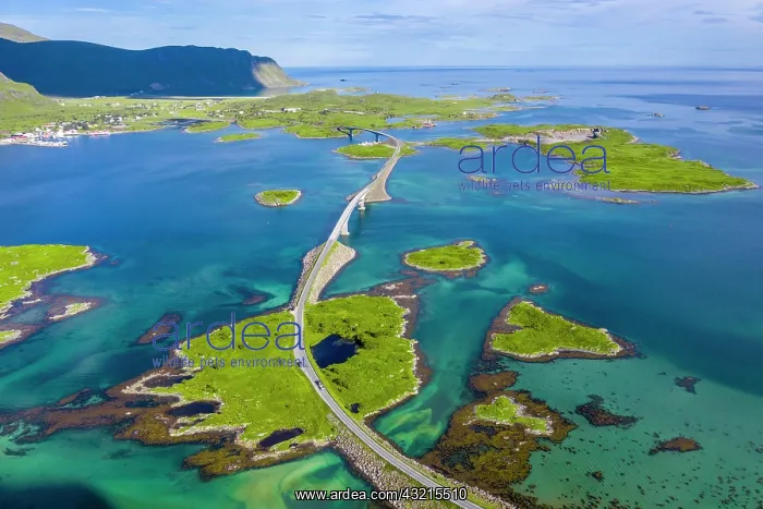 : Aerial view, Fredvang Bridge, Torsfjorden near Fredvang : Aerial view, Fredvang Bridge, Torsfjorden near Fredvang