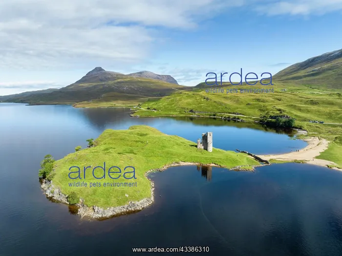 : Aerial view of the freshwater loch Loch Assynt with t : Aerial view of the freshwater loch Loch Assynt with t