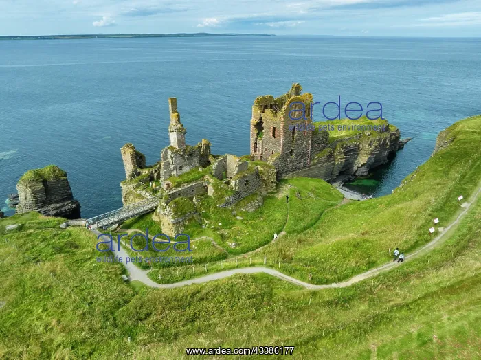 : Aerial view of Girnigoe and Sinclair Castle ruins, r : Aerial view of Girnigoe and Sinclair Castle ruins, r