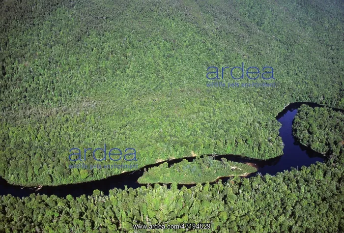 : Aerial view of Gordon Rivers, Franklin Gordon Wild : Aerial view of Gordon Rivers, Franklin Gordon Wild