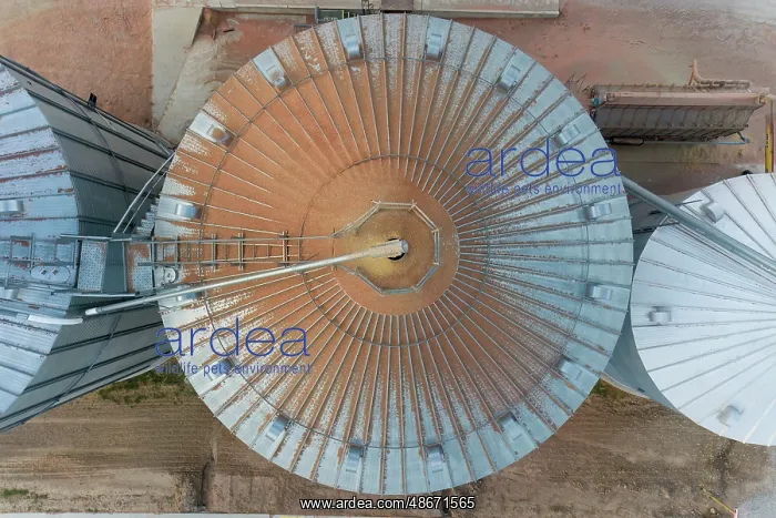 : Aerial view of a grain bin with corn dust, Marion County : Aerial view of a grain bin with corn dust, Marion County