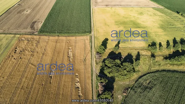 : Aerial view of grain fields west of Augsburg : Aerial view of grain fields west of Augsburg