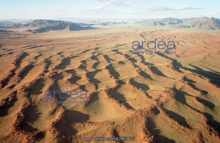 : Aerial view of grass-grown sand dunes and isolated : Aerial view of grass-grown sand dunes and isolated