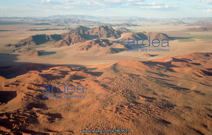 : Aerial view of grass-grown sand dunes and isolated : Aerial view of grass-grown sand dunes and isolated