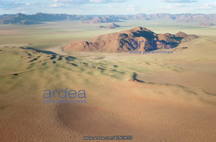 : Aerial view of grass-grown sand dunes and isolated : Aerial view of grass-grown sand dunes and isolated
