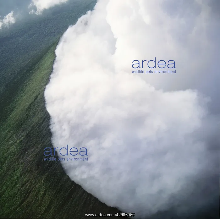 : Aerial view of the Great Rift Valley : Aerial view of the Great Rift Valley