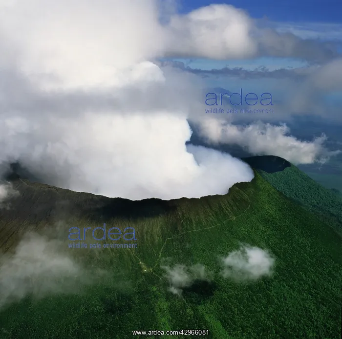 : Aerial view of the Great Rift Valley, East Africa: : Aerial view of the Great Rift Valley, East Africa: