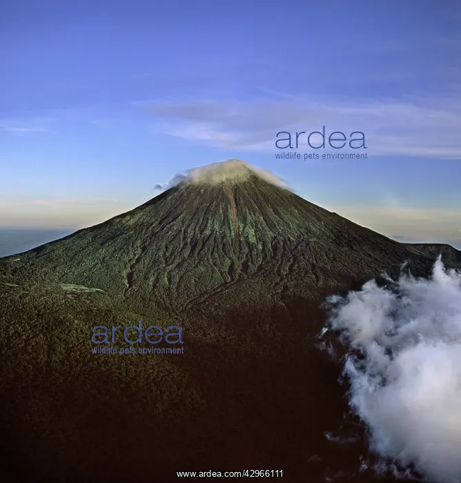 : Aerial view of the Great Rift Valley, East Africa : Aerial view of the Great Rift Valley, East Africa