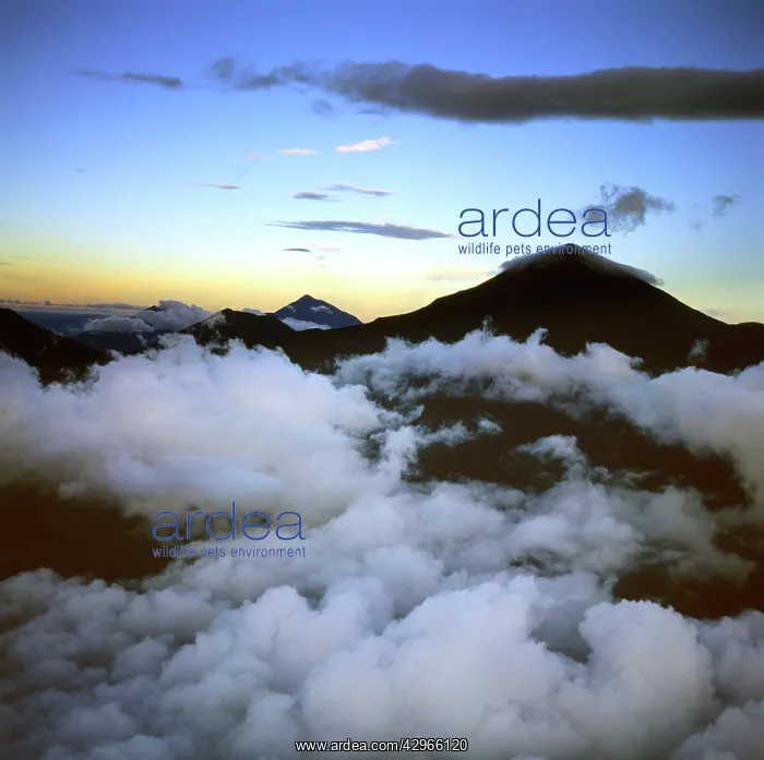 : Aerial view of the Great Rift Valley, East Africa: : Aerial view of the Great Rift Valley, East Africa: