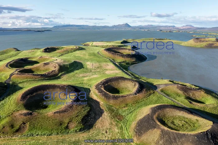 : Aerial view of green volcanic crater, pseudo-crater : Aerial view of green volcanic crater, pseudo-crater