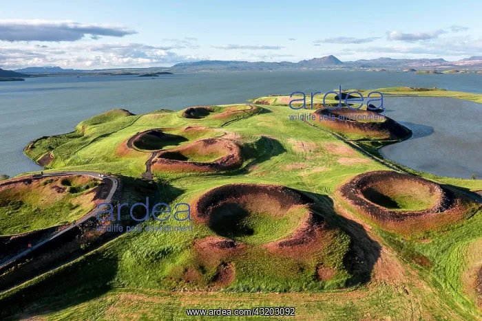 : Aerial view of green volcanic crater, pseudo-crater : Aerial view of green volcanic crater, pseudo-crater
