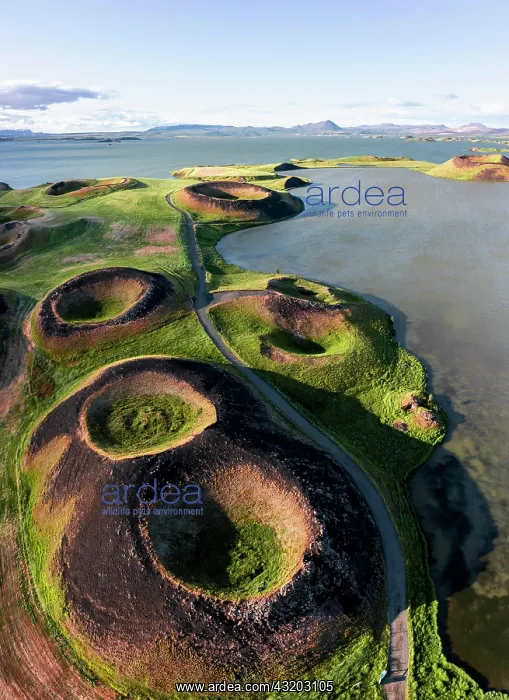 : Aerial view of green volcanic crater, pseudo-crater : Aerial view of green volcanic crater, pseudo-crater