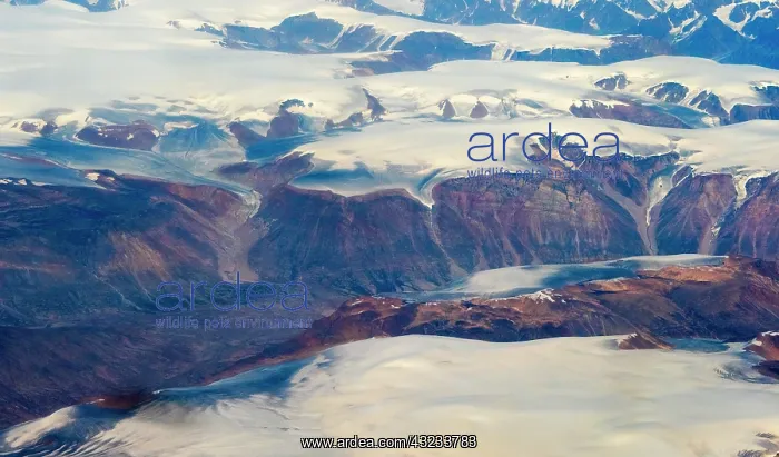 : Aerial view of Greenland : Aerial view of Greenland