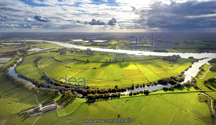 : Aerial view, Grietherort Old Rhine landscape conservation area in backlight : Aerial view, Grietherort Old Rhine landscape conservation area in backlight