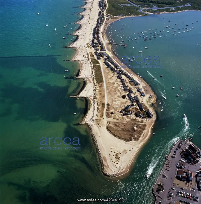 : Aerial view - Groynes, Hengistbury Head, Christchurch : Aerial view - Groynes, Hengistbury Head, Christchurch