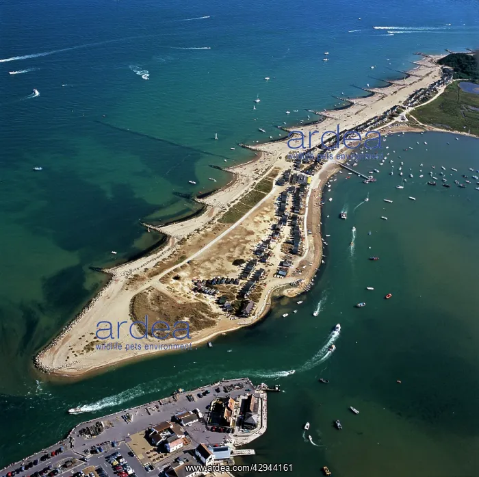 : Aerial view - Groynes, Hengistbury Head, Christchurch : Aerial view - Groynes, Hengistbury Head, Christchurch