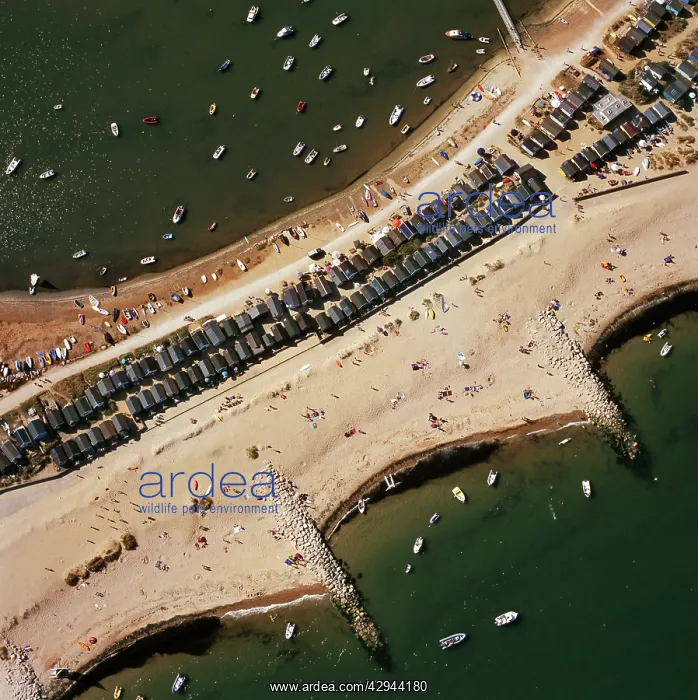  : Aerial view - Groynes, Hengistbury Head, Christchurch