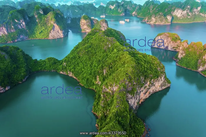 : Aerial view of Ha Long Bay, Vietnam, Asia : Aerial view of Ha Long Bay, Vietnam, Asia