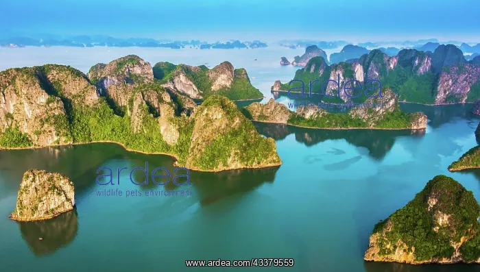 : Aerial view of Ha Long Bay, Vietnam, Asia : Aerial view of Ha Long Bay, Vietnam, Asia