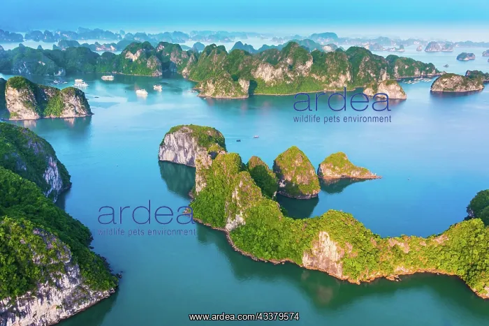 : Aerial view of Ha Long Bay, Vietnam, Asia : Aerial view of Ha Long Bay, Vietnam, Asia