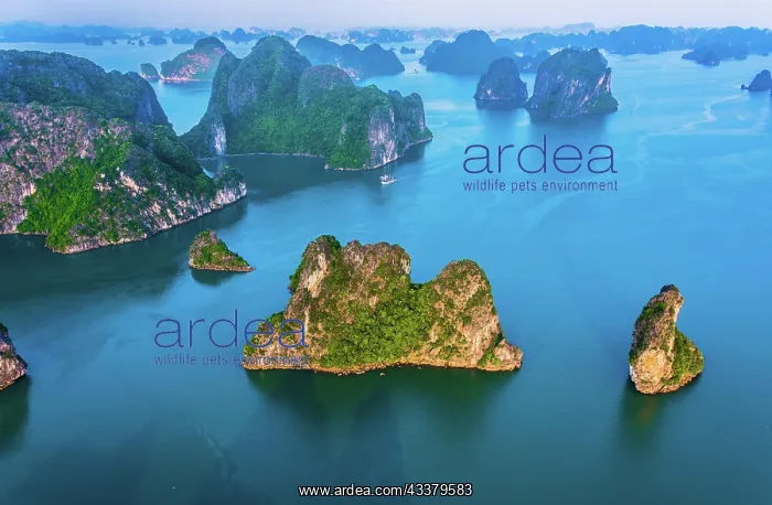 : Aerial view of Ha Long Bay, Vietnam, Asia : Aerial view of Ha Long Bay, Vietnam, Asia