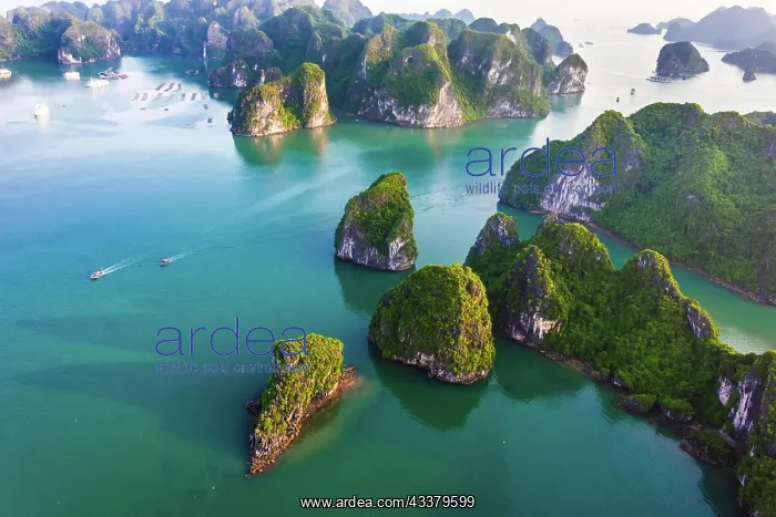  : Aerial view of Ha Long Bay, Vietnam, Asia