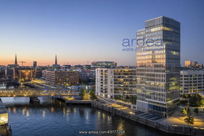 : Aerial view of HafenCity University Hamburg (HCU) at blue hour with Magdeburger Hafen harbour and bridge : Aerial view of HafenCity University Hamburg (HCU) at blue hour with Magdeburger Hafen harbour and bridge