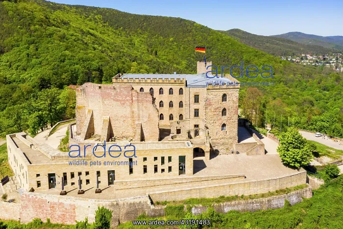  : Aerial view, Hambach Castle, Hambach, Neustadt an
