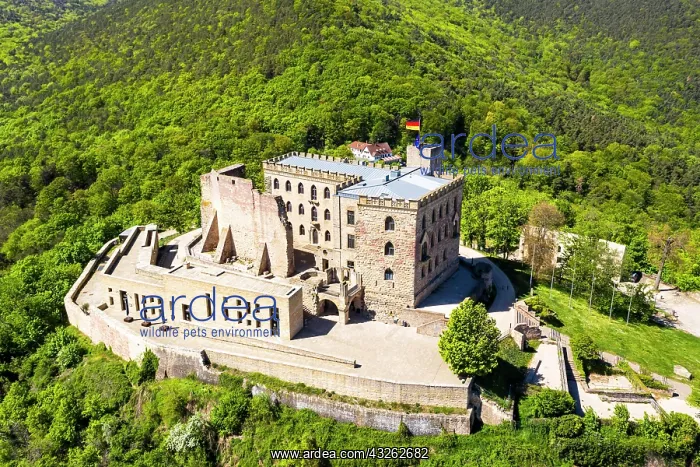 : Aerial view, Hambach Castle, Hambach, Neustadt an : Aerial view, Hambach Castle, Hambach, Neustadt an