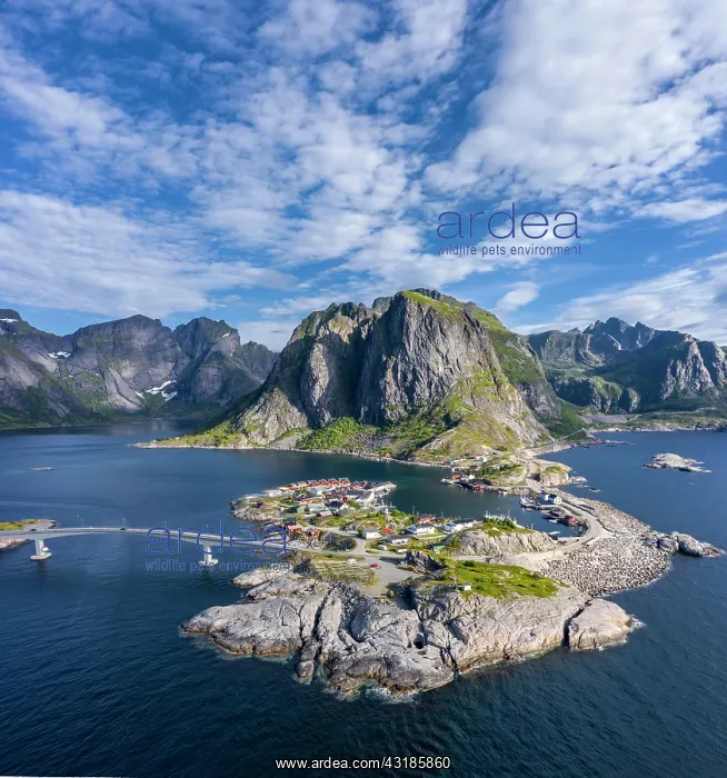 : Aerial view, Hamnoy, Reinefjord with mountains : Aerial view, Hamnoy, Reinefjord with mountains