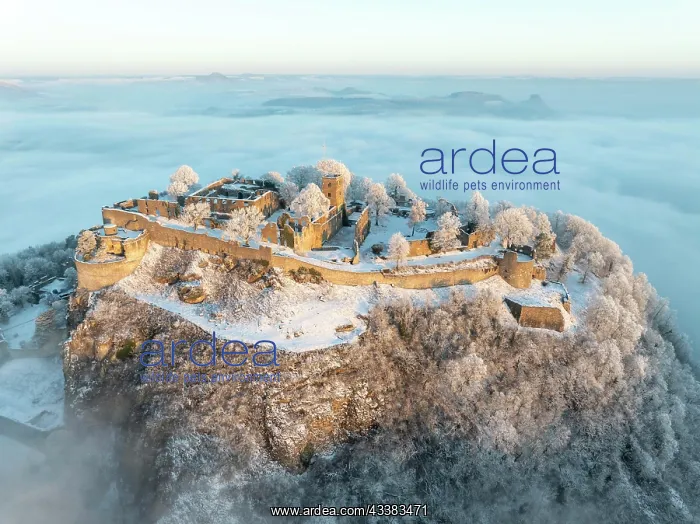 : Aerial view of the Hegau volcano Hohentwiel with : Aerial view of the Hegau volcano Hohentwiel with