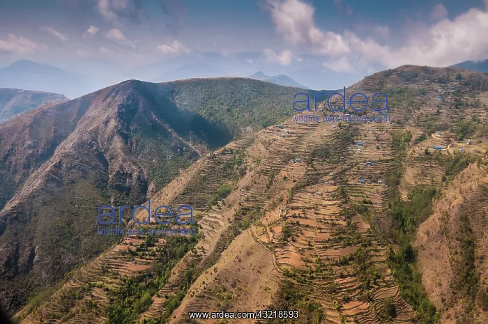 : Aerial view of houses and terraces, Nepal : Aerial view of houses and terraces, Nepal
