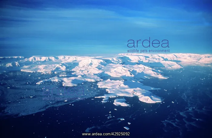 : Aerial view of Hughes Bay and west side of Antarctic : Aerial view of Hughes Bay and west side of Antarctic