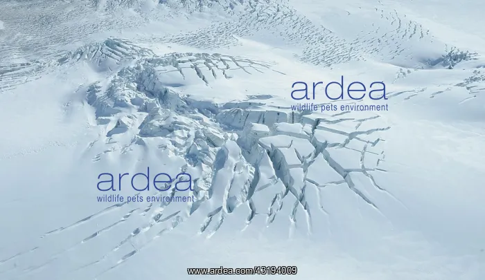 : Aerial view, ice field with cross crevasses, Mt : Aerial view, ice field with cross crevasses, Mt