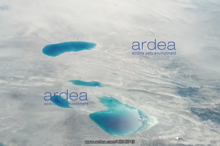 : Aerial view of ice sheet, Greenland : Aerial view of ice sheet, Greenland