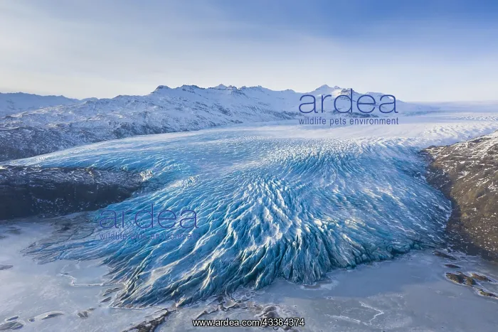 : Aerial view over ice tongue Falljnkull in winter : Aerial view over ice tongue Falljnkull in winter