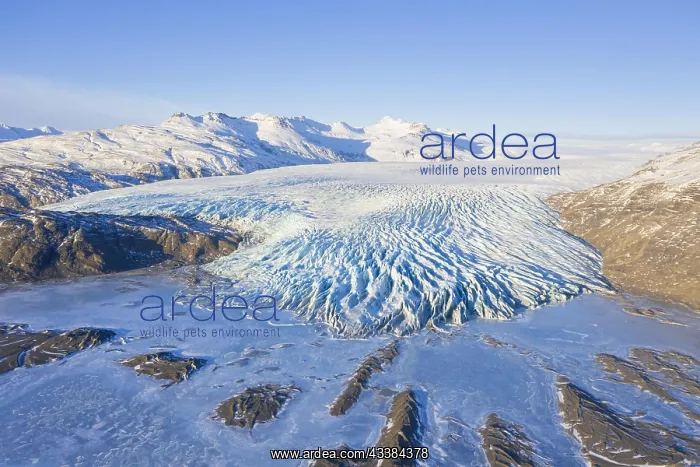 : Aerial view over ice tongue Falljnkull in winter : Aerial view over ice tongue Falljnkull in winter