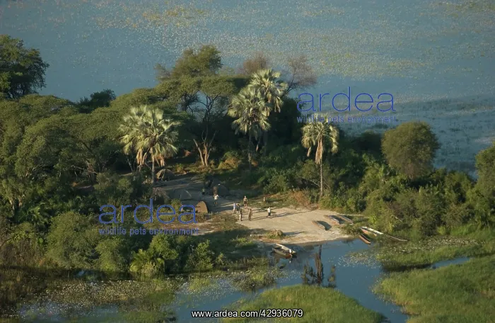 : Aerial view of Island camping : Aerial view of Island camping
