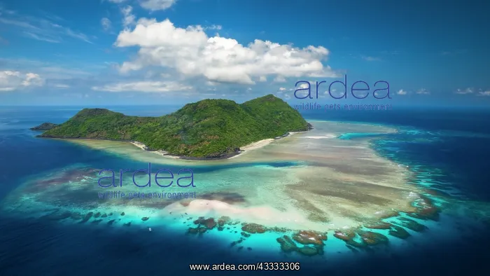 : Aerial view of the islet M'Tsamboro and its magn : Aerial view of the islet M'Tsamboro and its magn