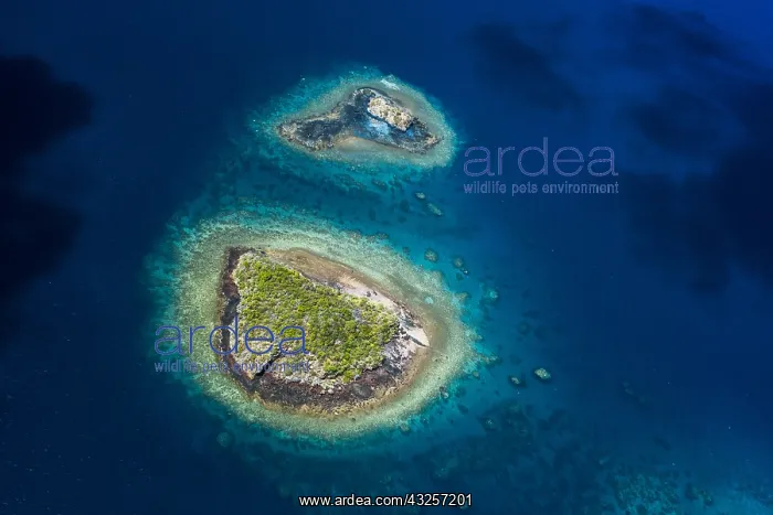 : Aerial view of islets in the lagoon, Mayotte, Indian : Aerial view of islets in the lagoon, Mayotte, Indian