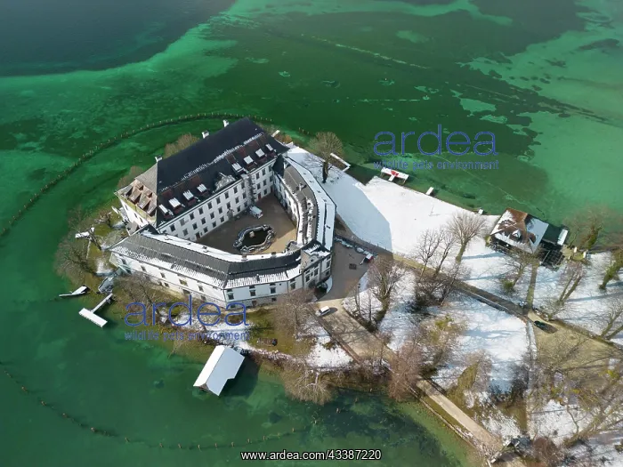 : Aerial view of Kammer Castle, Attersee with green : Aerial view of Kammer Castle, Attersee with green