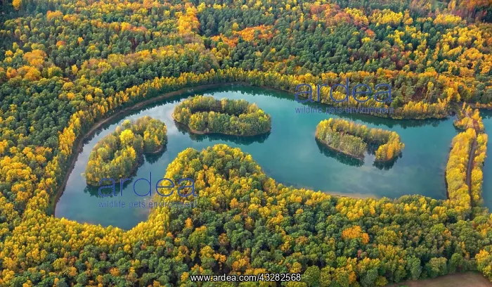 : Aerial view, Lake Heidesee, islands with autumn : Aerial view, Lake Heidesee, islands with autumn