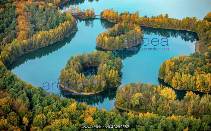 : Aerial view, Lake Heidesee, islands with autumn : Aerial view, Lake Heidesee, islands with autumn