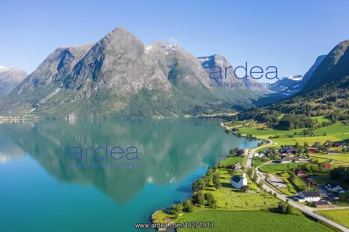 : Aerial view, lake Oppstrynsvatnet, mountains behind : Aerial view, lake Oppstrynsvatnet, mountains behind