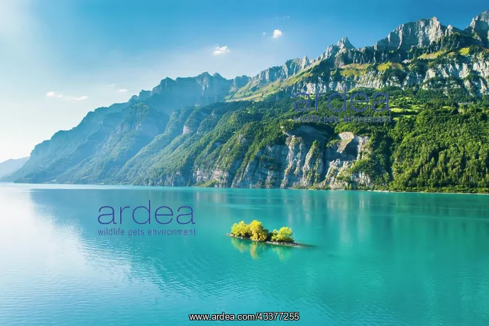 : Aerial view of Lake Walen with a view of Chive Island : Aerial view of Lake Walen with a view of Chive Island
