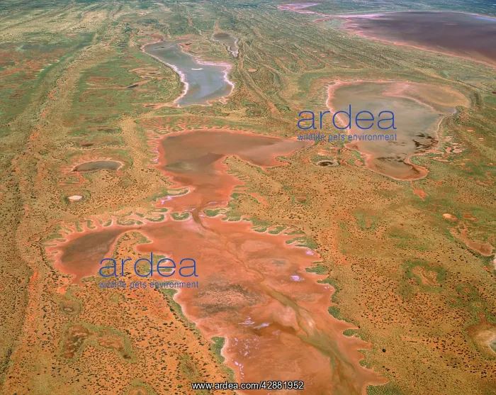 : Aerial view - Lake Willis, a salt lake Hidden Basin : Aerial view - Lake Willis, a salt lake Hidden Basin